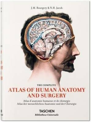 Буржери. Атлас человеческой анатомии и хирургии | Bourgery's Atlas of Human Anatomy and Surgery