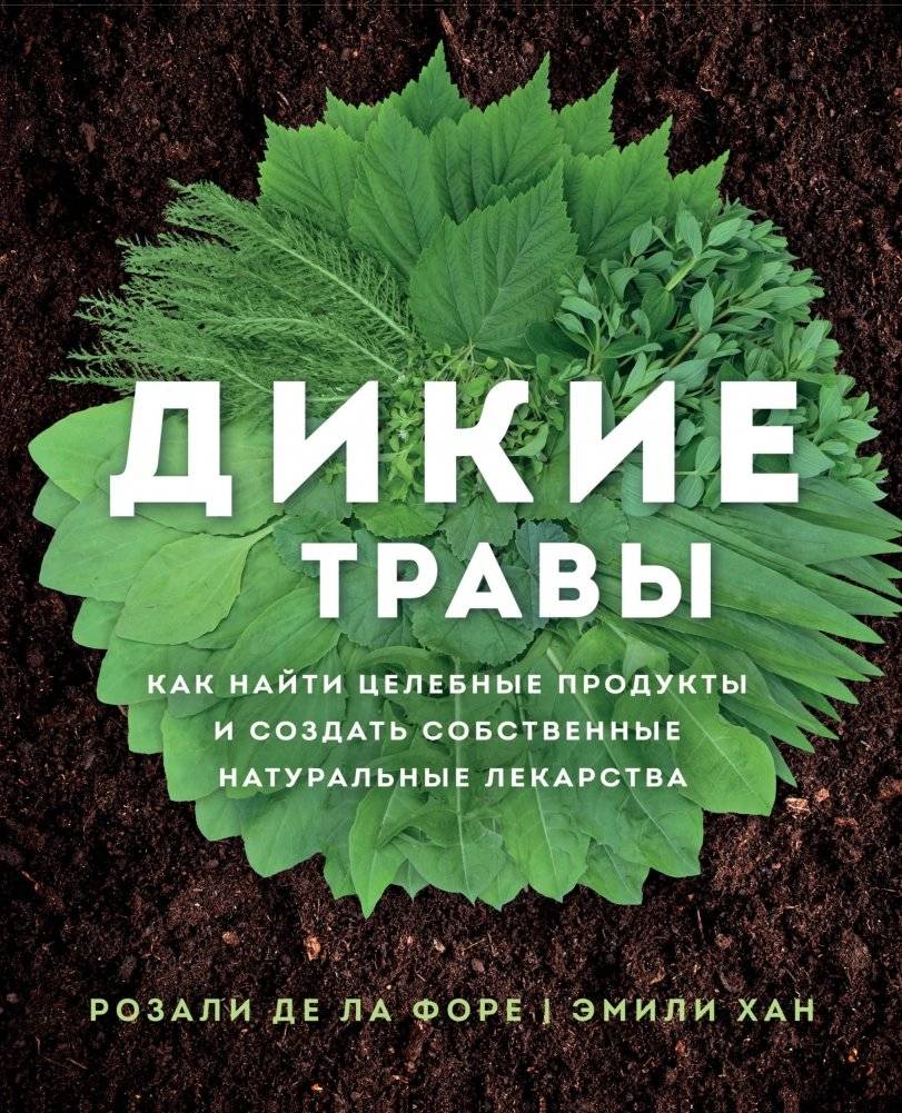 Дикие травы: как найти целебные продукты и создать собственные натуральные лекарства | Wild Herbs: Finding Healing Plants and Creating Natural Remedies