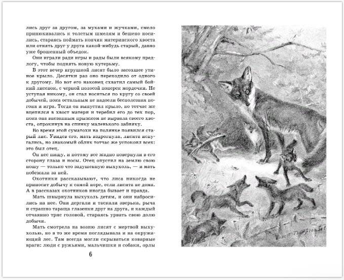 Медвежонок Джонни. Лесные истории фото книги 4
