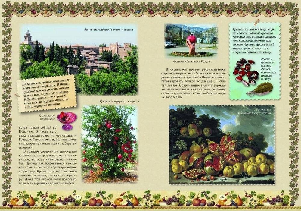 Прогулки по саду фото книги 6