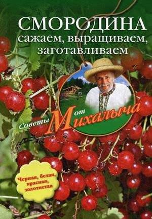 Смородина. Сажаем, выращиваем, заготавливаем | Smorodina. Sazhaem, vyrashchivaem, zagotavlivaem