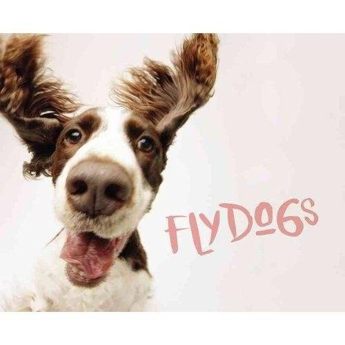Flydogs | Flydogs