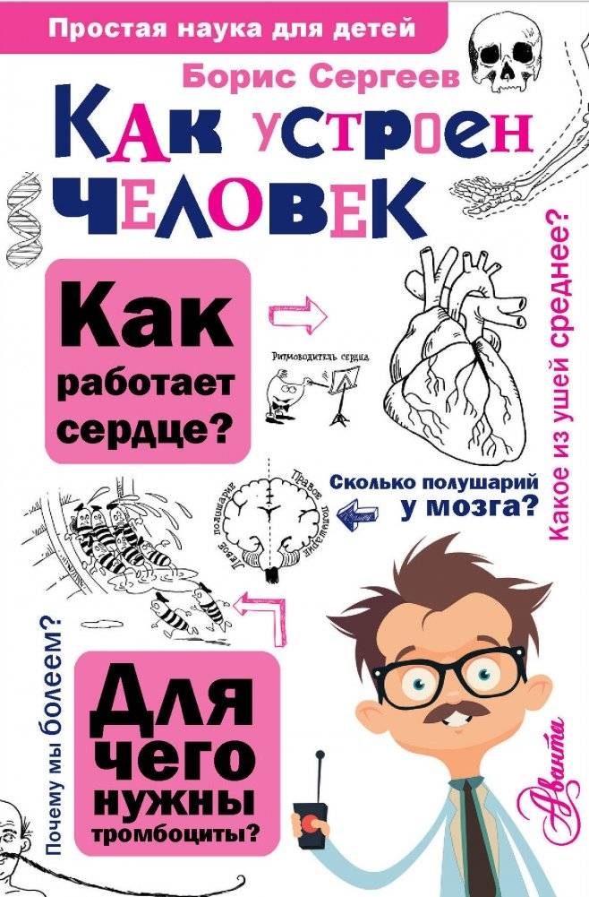 Как устроен человек | How the Human Body Works