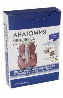 Анатомия человека. Иммунная, лимфатическая и эндокринная системы (32 карточки) | Human Anatomy: Immune, Lymphatic, and Endocrine Systems (32 Cards)