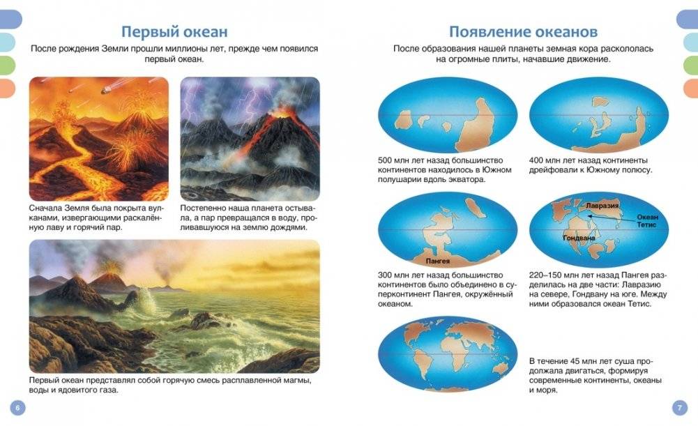 Море и его обитатели фото книги 3