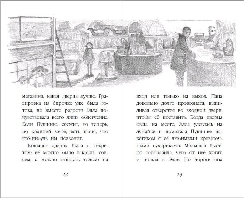 Котёнок Снежинка, или Зимнее волшебство фото книги 4