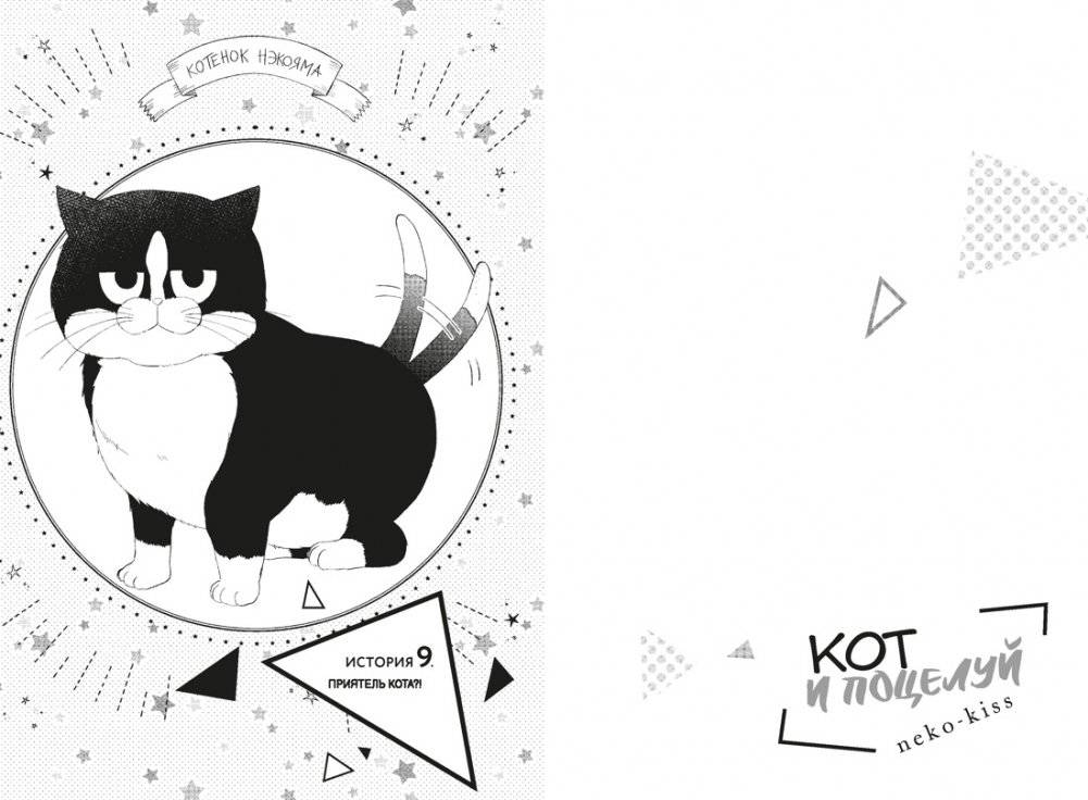 Кот и поцелуй. Том 3 фото книги 3