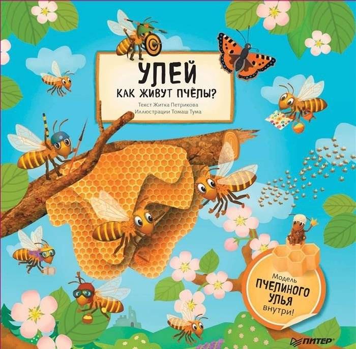 Улей. Как живут пчёлы? | The Hive. How Do Bees Live?