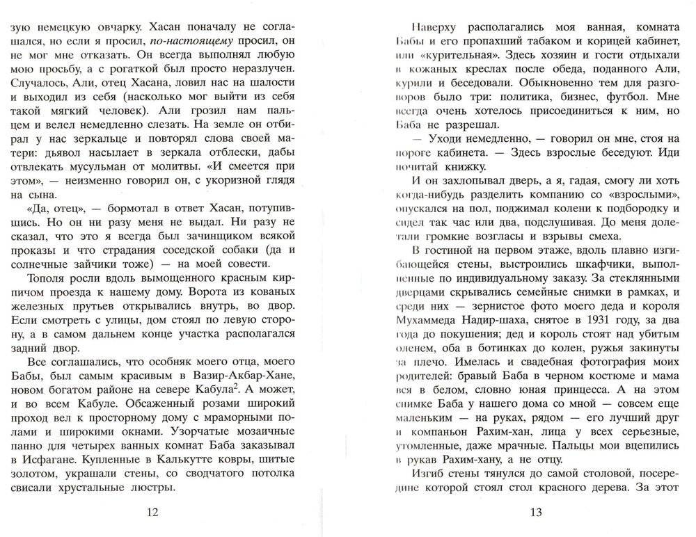 Бегущий за ветром фото книги 4