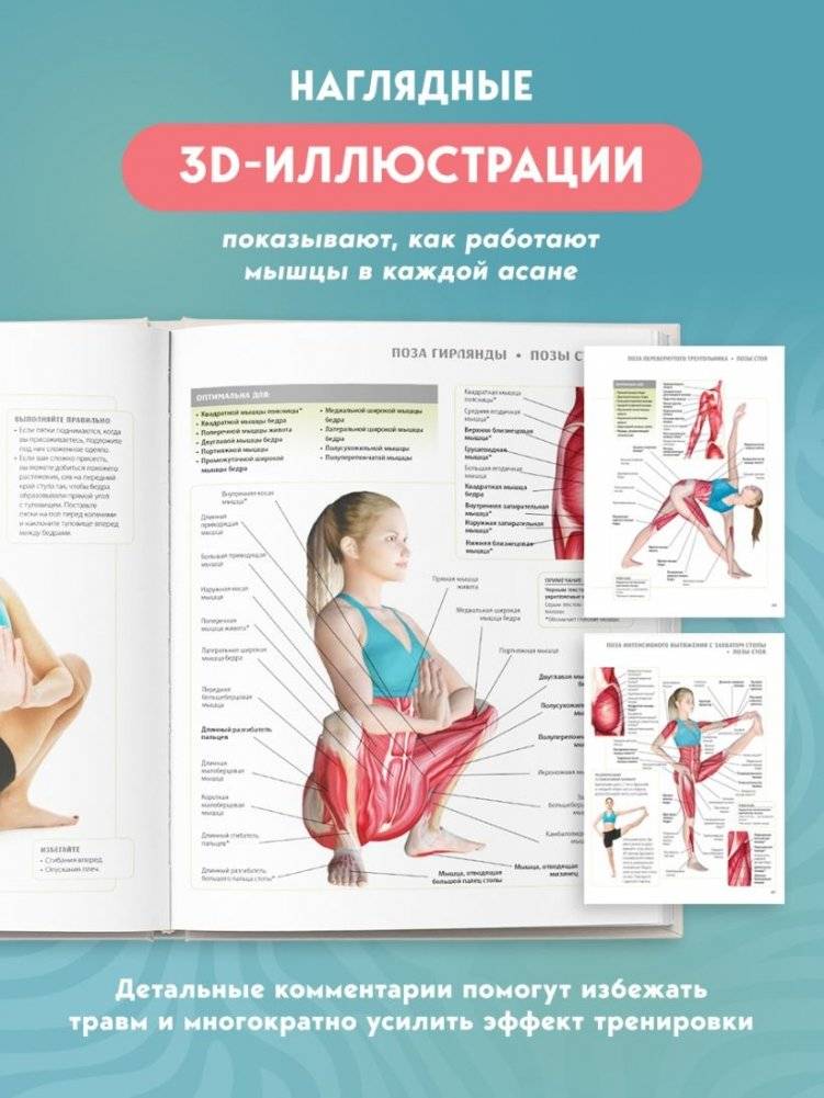 Анатомия йоги. 50 главных асан с анатомическими иллюстрациями, для начинающих и продвинутых фото книги 4
