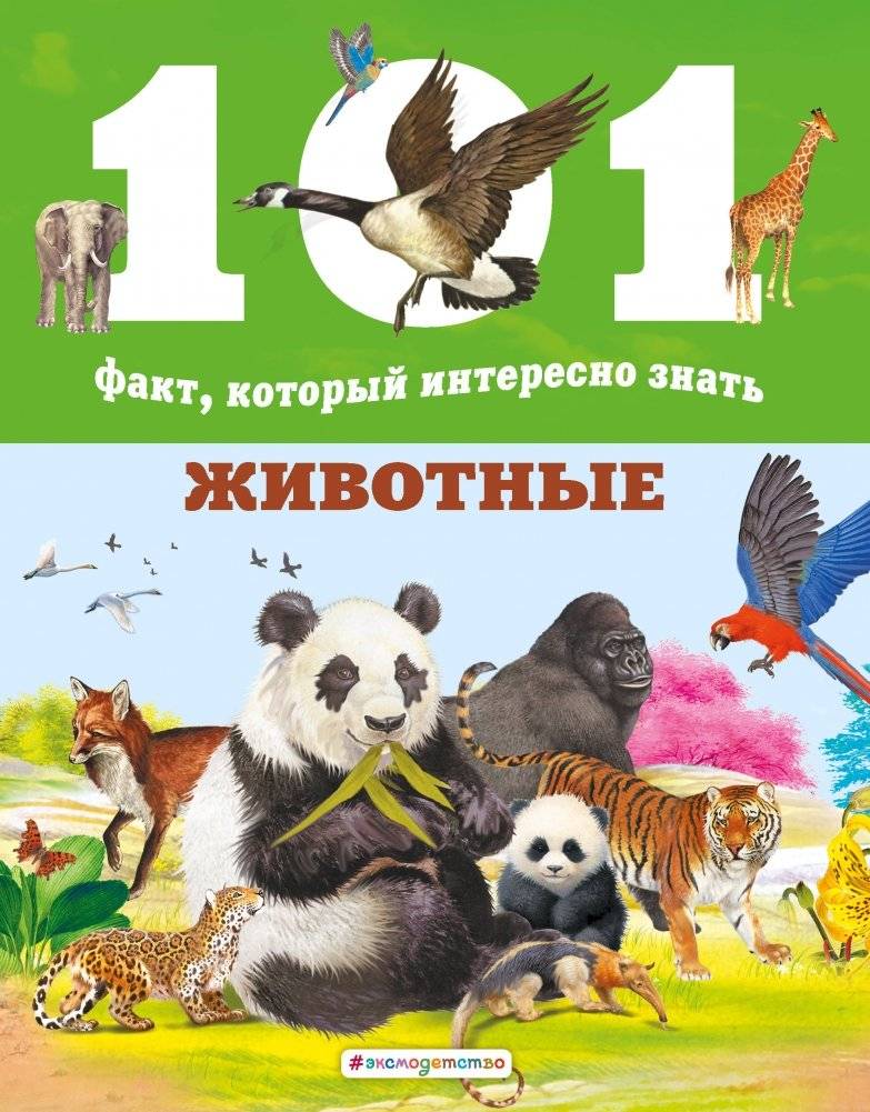 Животные | Animals
