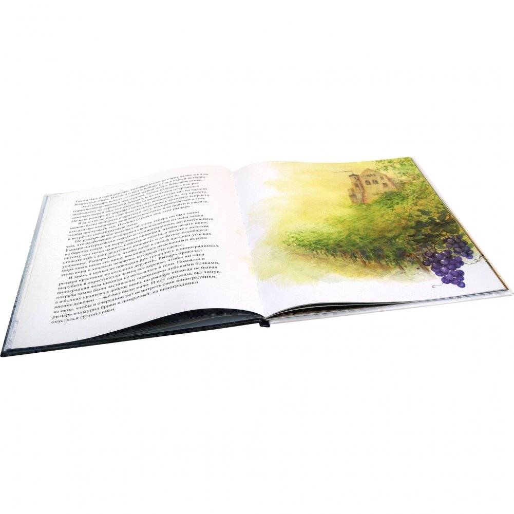 Туманный человечек с Боденского озера фото книги 7