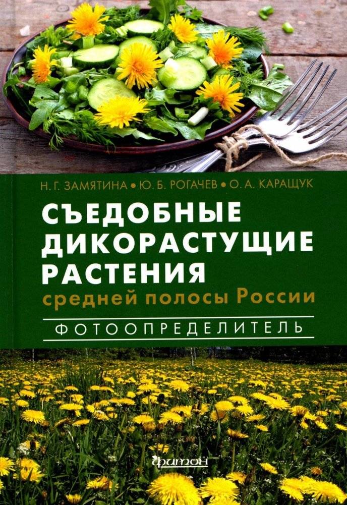 Съедобные дикорастущие растения средней полосы России. Фотоопределитель | Edible Wild Plants of the Russian Middle Latitudes: A Photo‑Identifier