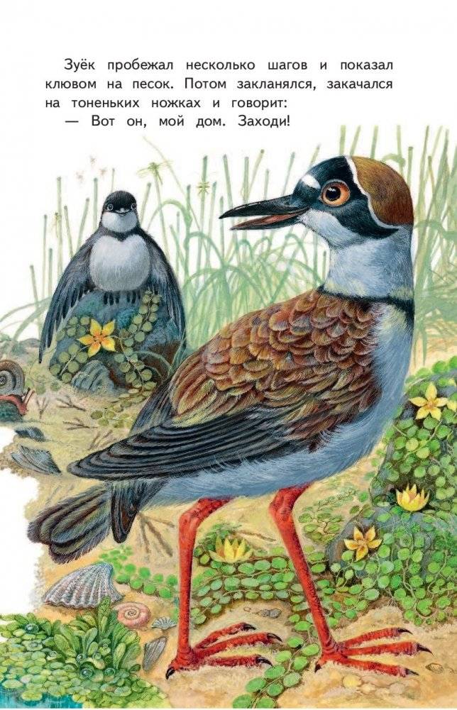 Лесные домишки фото книги 2