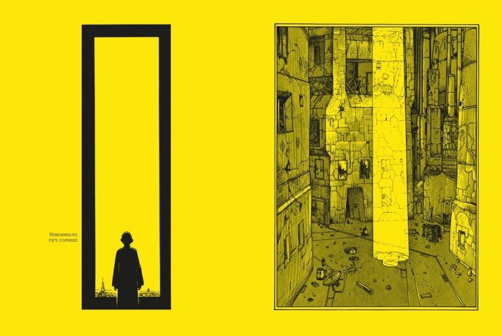 Глаза кошки фото книги 3