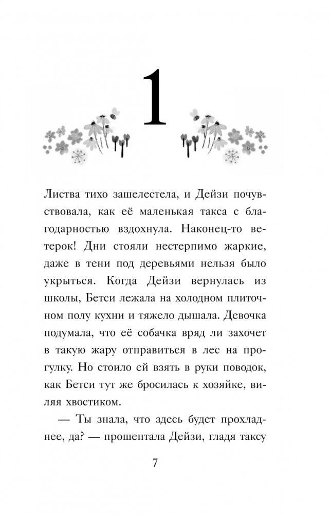 Серебряная пони, или Счастливое волшебство фото книги 4