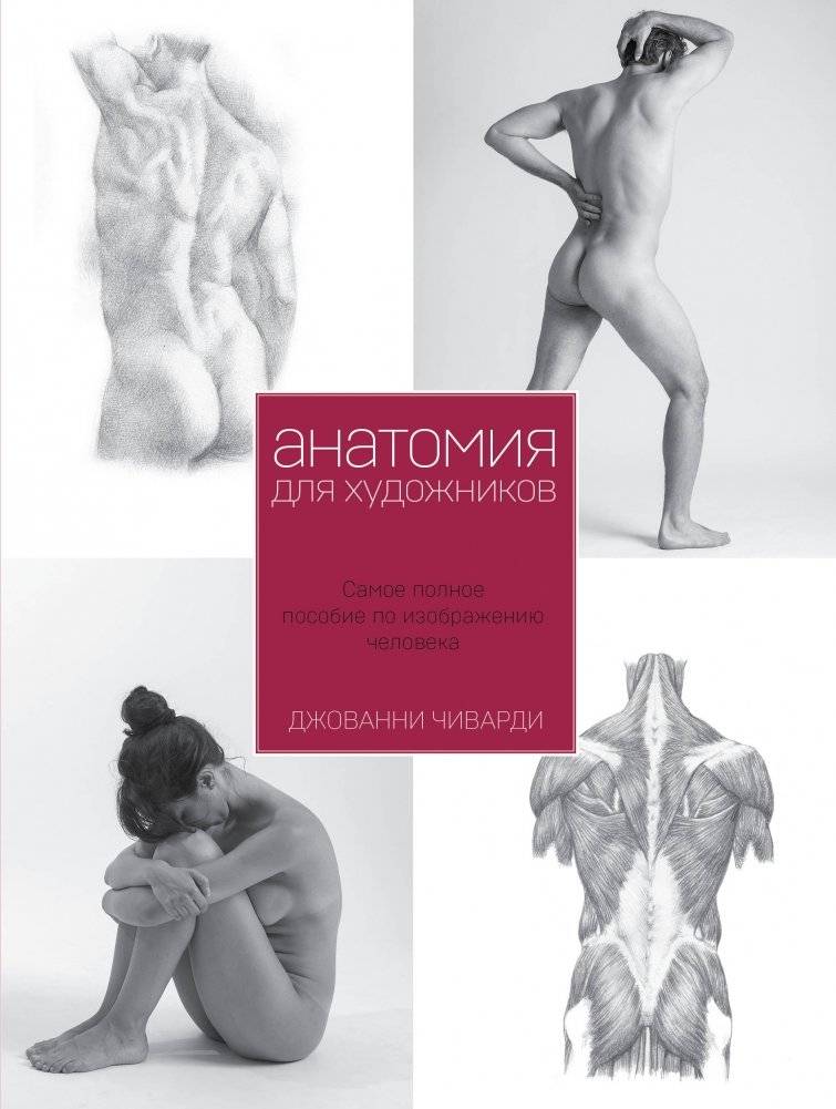 Анатомия для художников. Самое полное пособие по изображению человека | Anatomy for Artists: The Most Complete Guide to Drawing the Human Figure