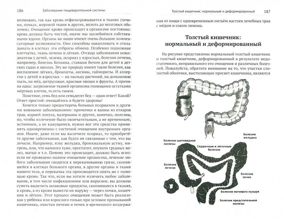 Экологическая медицина. Путь будущей цивилизации фото книги 2