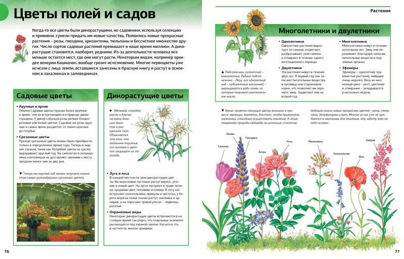 Новая энциклопедия школьника фото книги 3