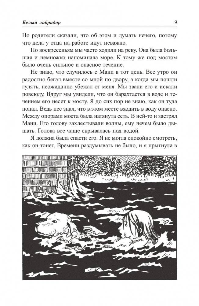 «Пёс по имени Мани» — фото 7