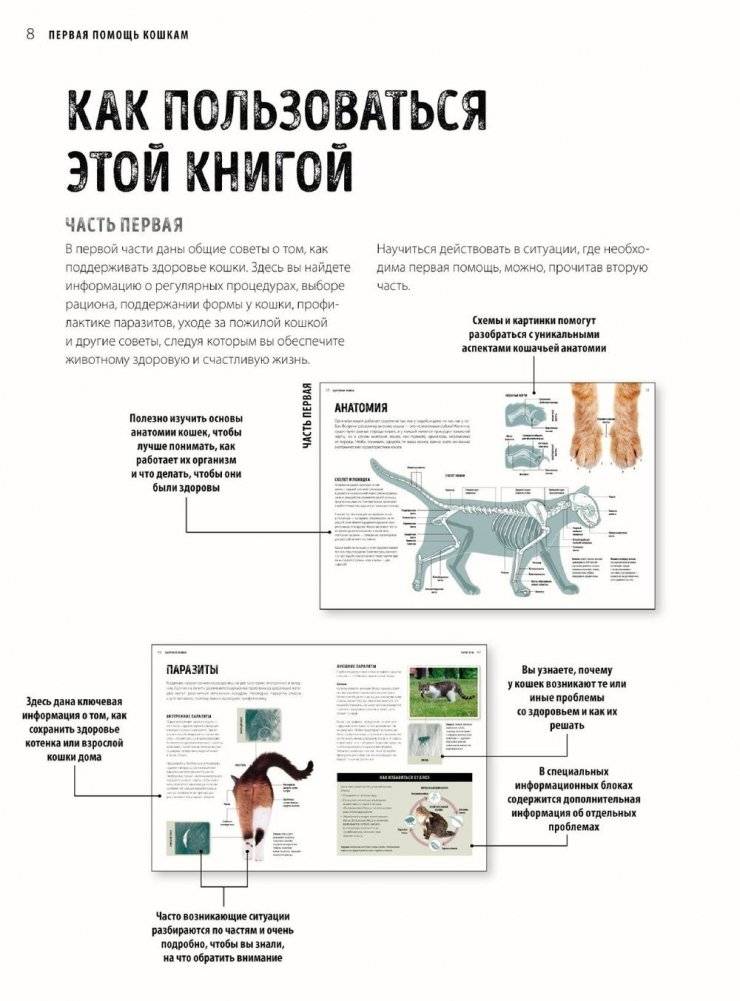 Первая помощь кошкам. Осмотр, действия в экстренных ситуациях, аптечка первой помощи, здоровье, корм фото книги 6
