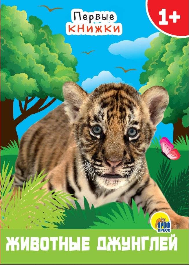 Животные джунглей | Jungle Animals