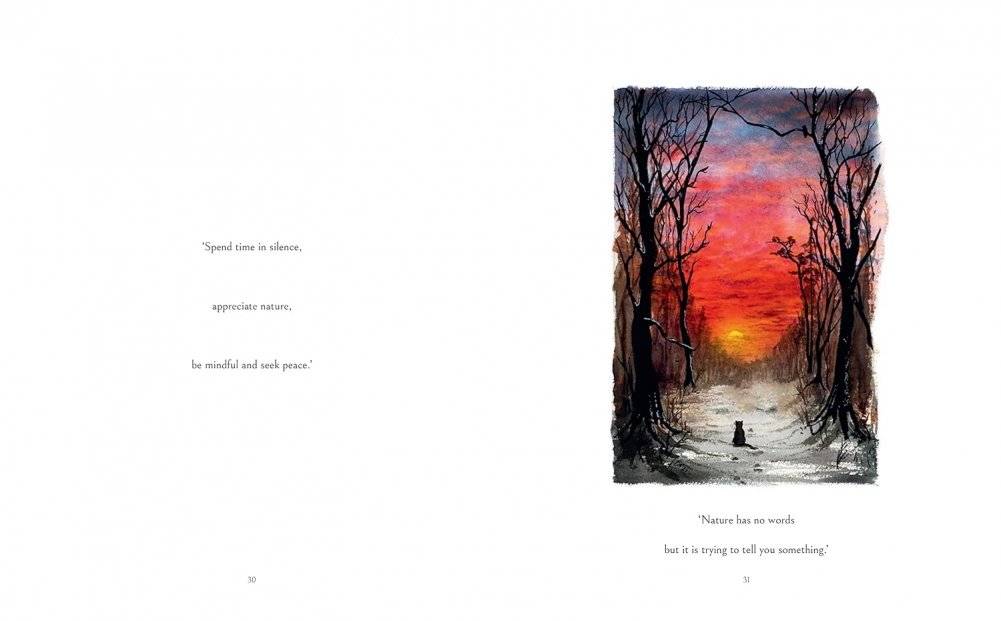 The Cat Who Taught Zen HB фото книги 4