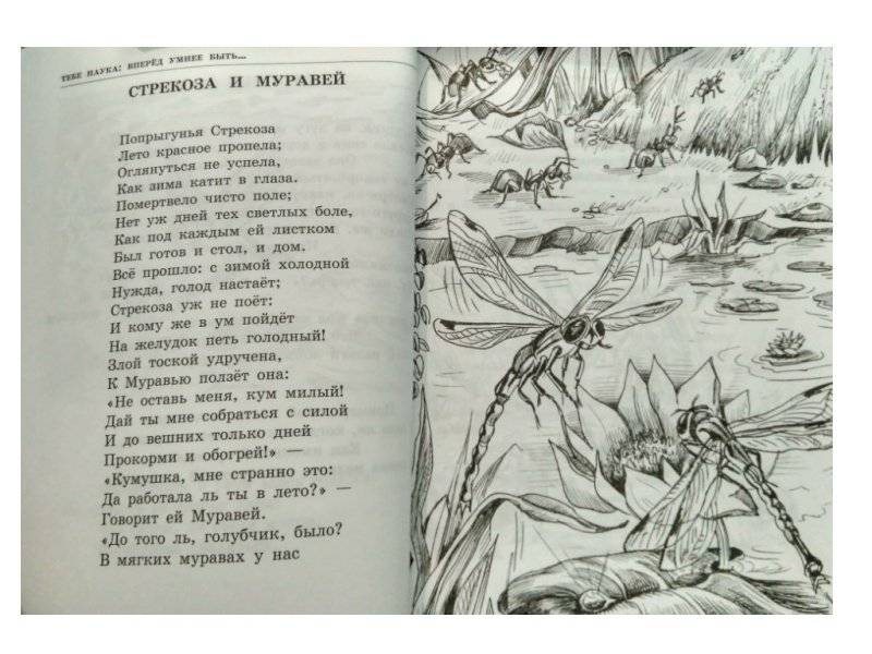 Басни фото книги 6