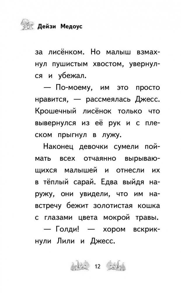 Лисичка Сара, или Рождение волшебства фото книги 3