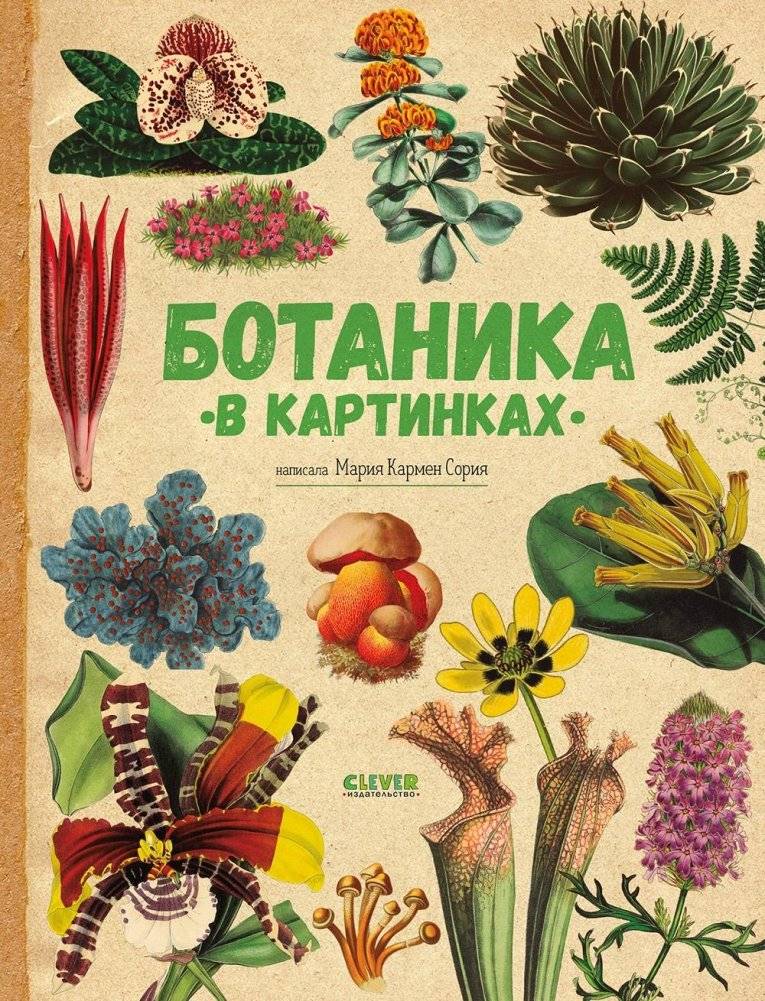 Ботаника в картинках | Botany in Pictures: A Visual Encyclopedia