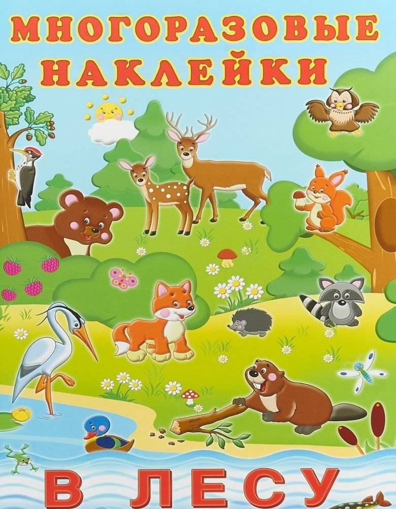 В лесу | In the Forest