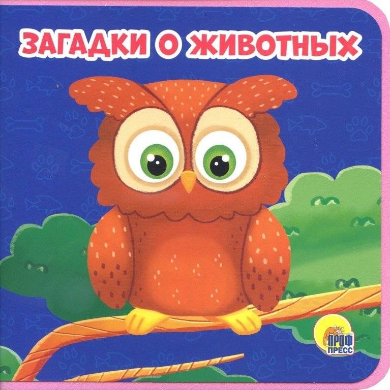 Загадки о животных | Animal Riddles