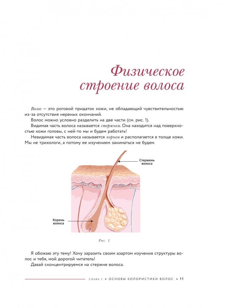 Библия парикмахера колориста. Главная книга по созданию идеального цвета волос фото книги 6