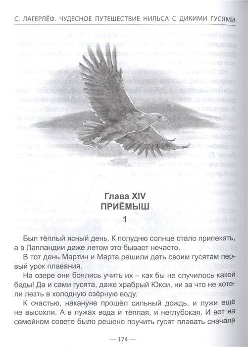 Чудесное путешествие Нильса с дикими гусями фото книги 4