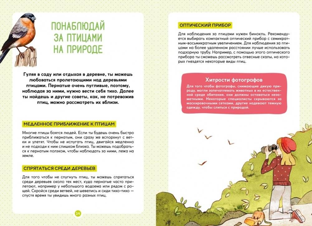 Птицы фото книги 5