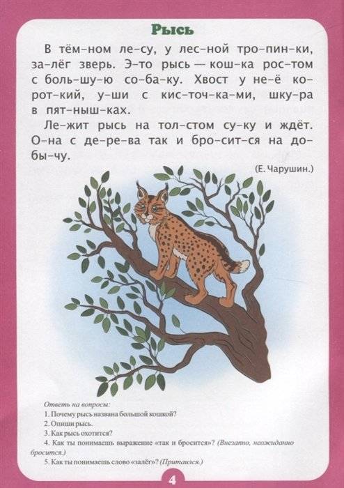 Занимательные рассказы. Слоговой тренажер фото книги 2