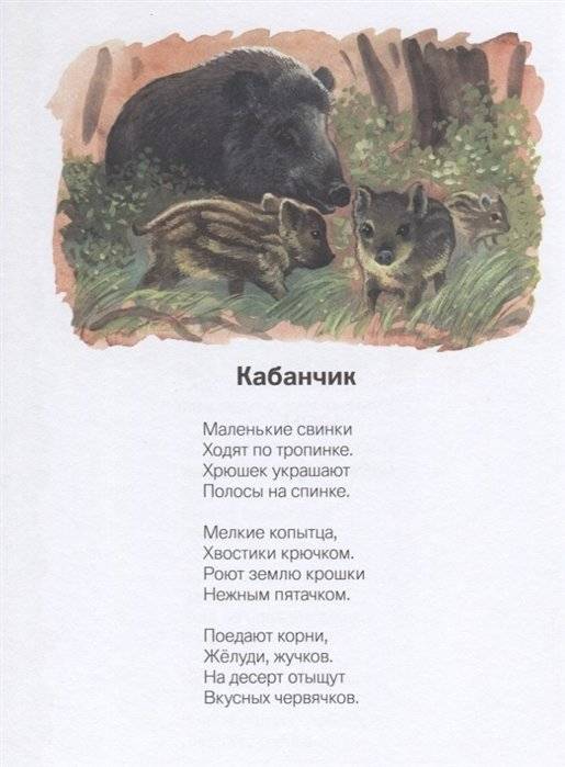 На лесной тропинке фото книги 5