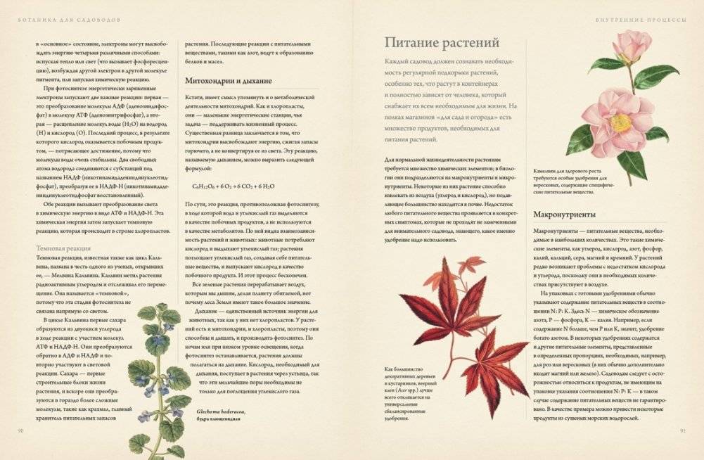 Ботаника для садоводов фото книги 5