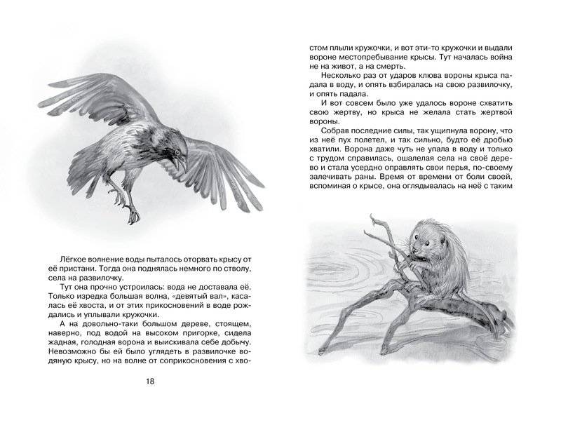 Лисичкин хлеб фото книги 5