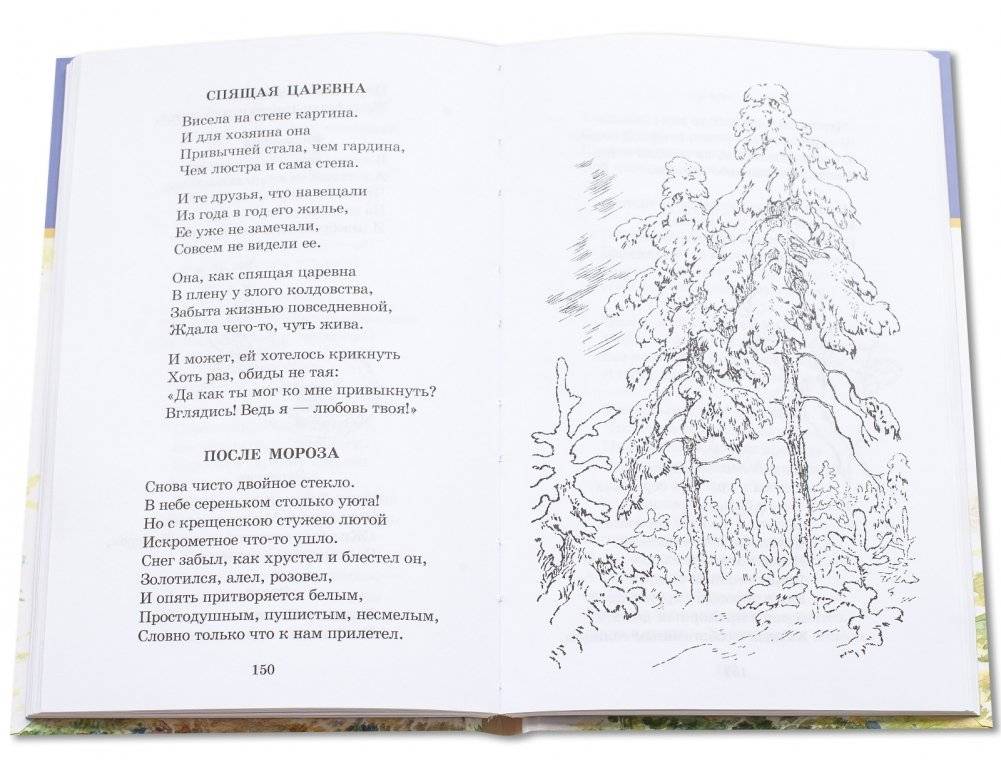 Веселое лето фото книги 4