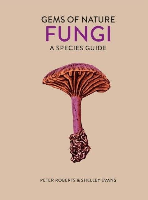 Грибы | Fungi