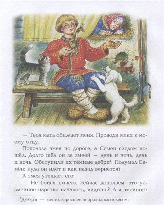 Волшебное кольцо фото книги 3