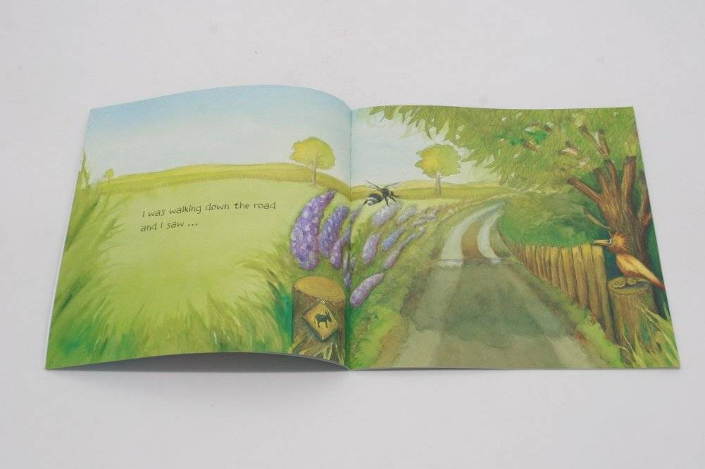 The Wonky Donkey фото книги 2