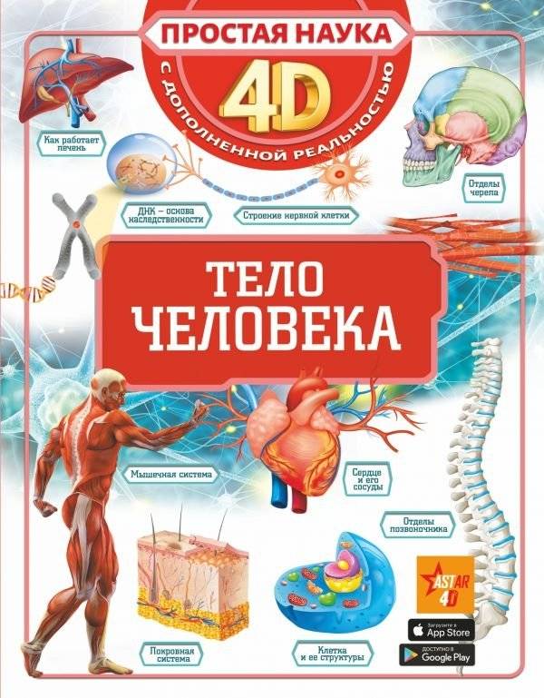 Тело человека | The Human Body