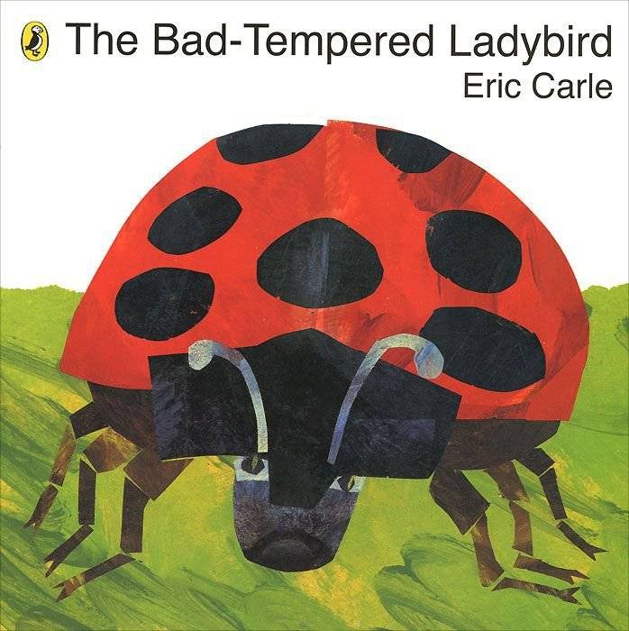 Bad-tempered Ladybird | The Grouchy Ladybug