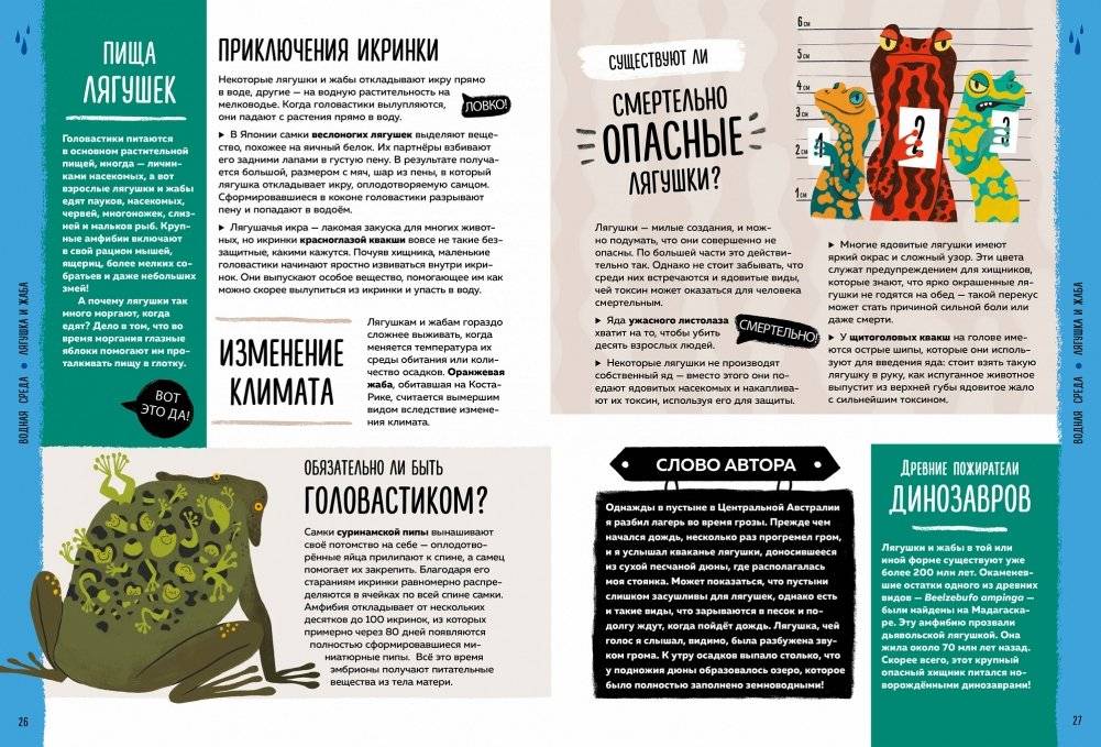 Мир вокруг тебя. Эти невероятные животные! фото книги 5