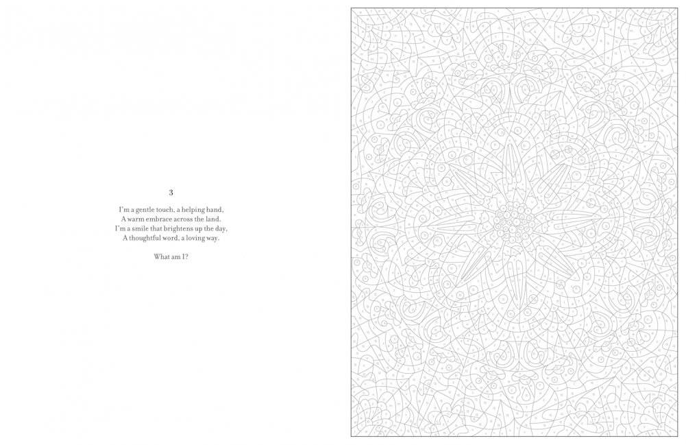 Mystery Coloring Mandalas фото книги 4