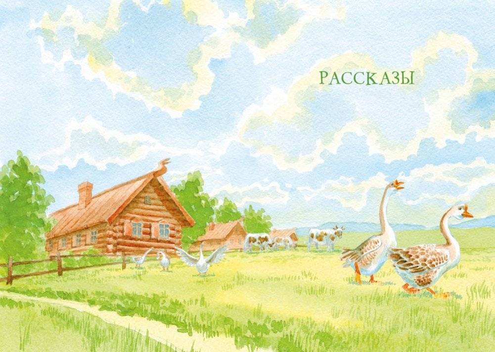 Кот-ворюга. Рассказы и сказки фото книги 3
