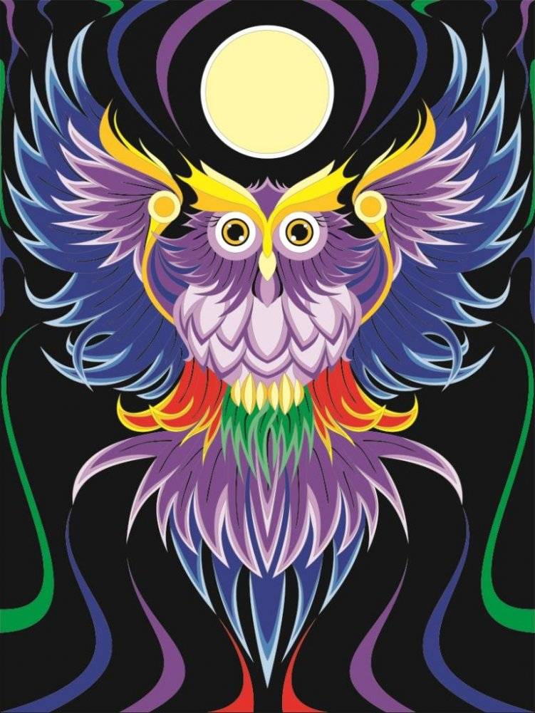Картина по номерам "Сова" | Paint by Numbers "Owl"