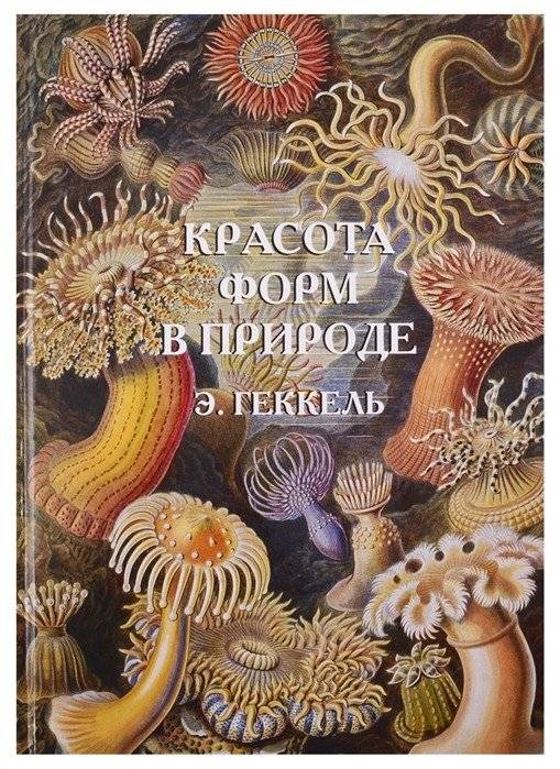 Красота форм в природе | The Beauty of Forms in Nature